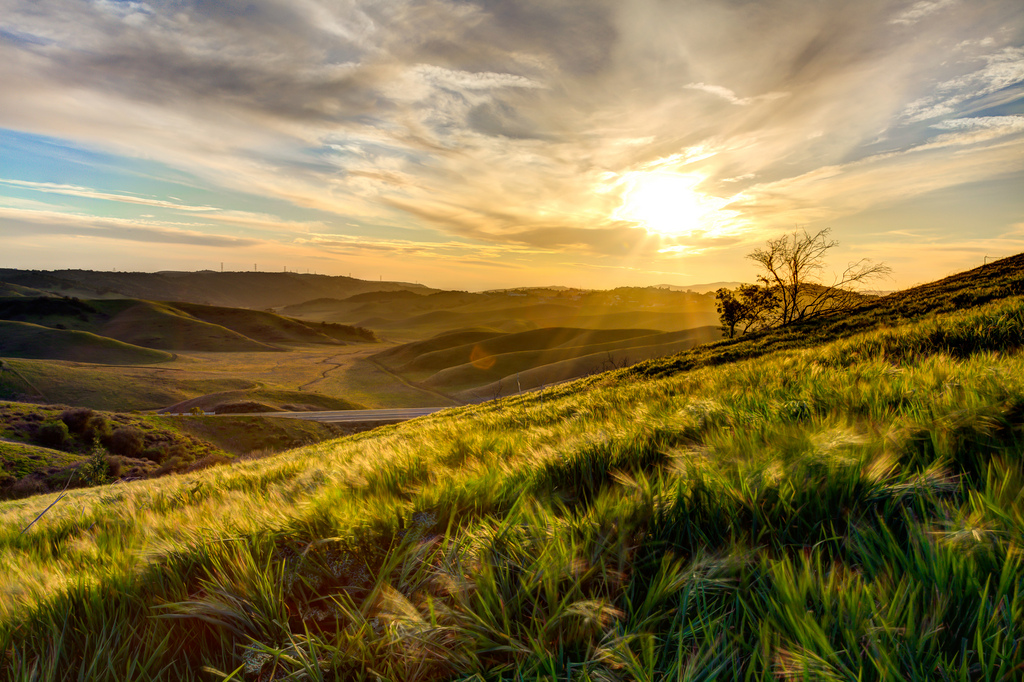 The Naked Sun by Isaac&nbsp;Asimov